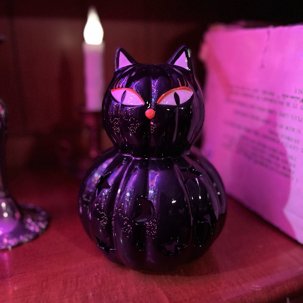 Light up Cat JOL